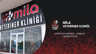 Mila Veteriner Kliniği fotoğrafı