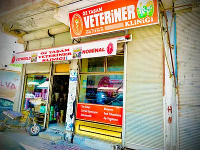YAŞAM VETERİNER KLİNİĞİ MAHMUT DİREK