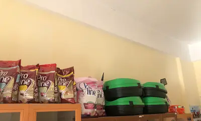 Göver veteriner kliniği