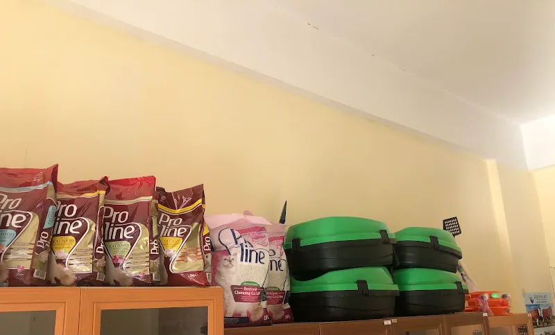 Göver veteriner kliniği foto 1