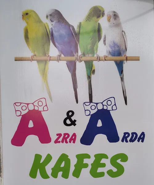 Hayal Pet Shop foto 2