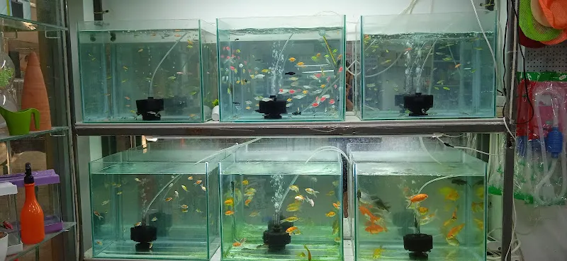 Doğapark Petshop foto 2