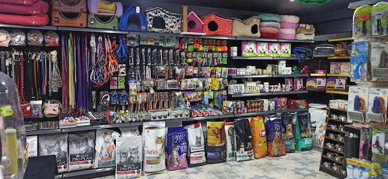Atakum petshop foto 2