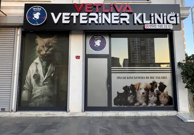 VETLİVA VETERİNER KLİNİĞİ-7/24 ACİL