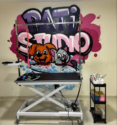Pati Studio Pet Kuaför / Pet shop Beylikdüzü