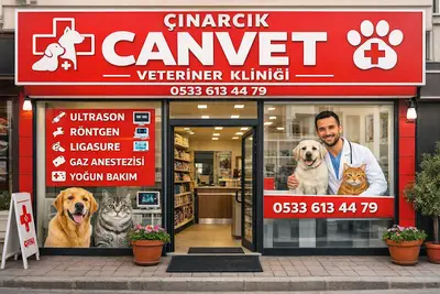 ÇINARCIK CANVET VETERİNER MUAYENEHANESI İlyas çaylan fotoğrafı
