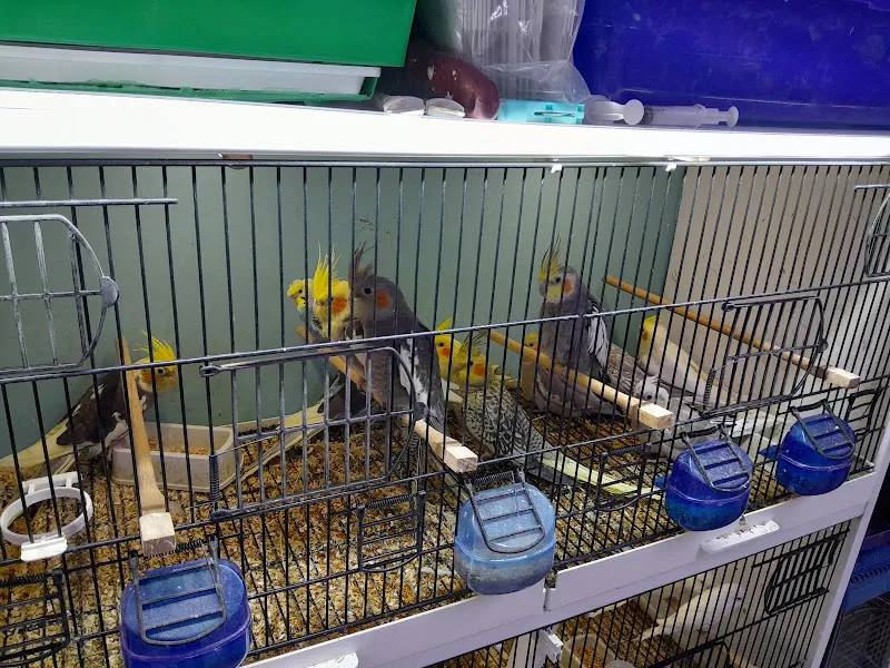 Empati petshop foto 2