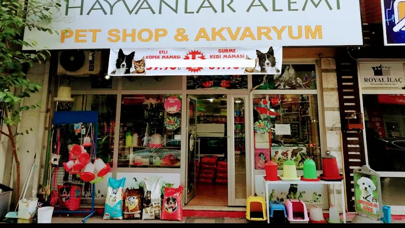 Hayvanlar Alemi petshop foto 2