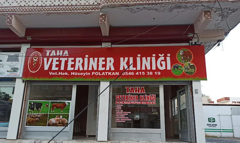TAHA VETERİNER KLİNİĞİ foto 1
