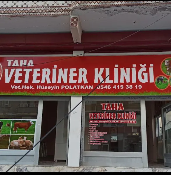 TAHA VETERİNER KLİNİĞİ foto 2