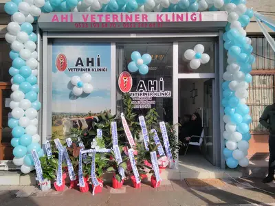 Ahi Veteriner Kliniği