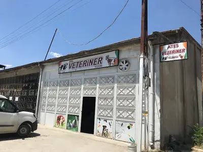 Alter Veteriner Kliniği