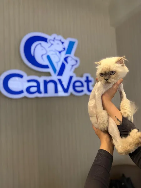 CanVet Veteriner Kliniği foto 1