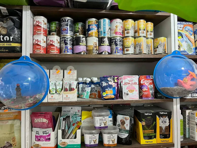 Asarkaya Petshop Kuşevi foto 2