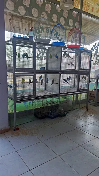 Oscar petshop foto 2