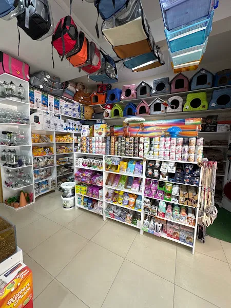 Atlantik petshop foto 2
