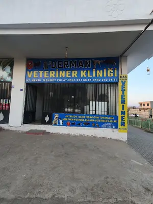 İpek Veteriner Klinigi fotoğrafı