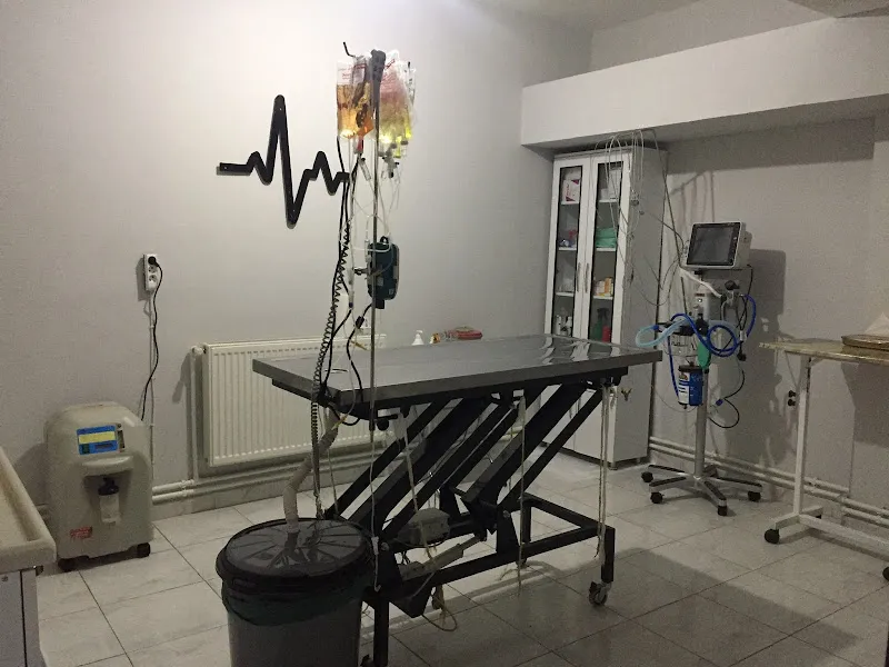 Elazığ Asya Veteriner Kliniği foto 2
