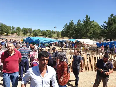 yalvaç hayvan pazarı zabıta müdürlüğü