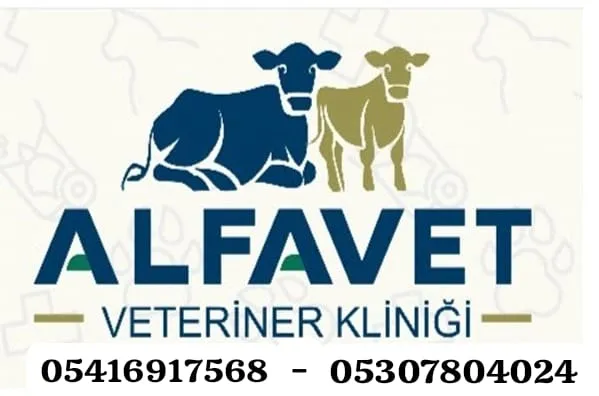 Alfavet veteriner kliniği foto 1