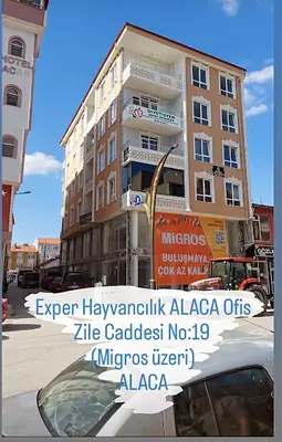 Orkun Okay Tarım ve Hayvancılık (OFİS)