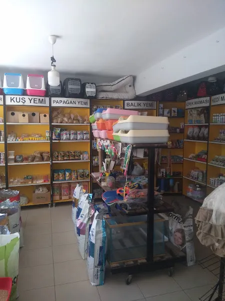 Busem Petshop foto 2