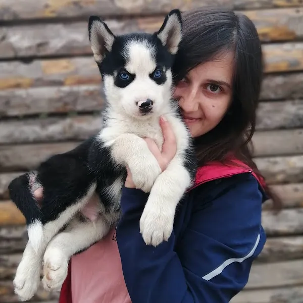 Bursa Köpek Eğitim Okulu VE Bursa Köpek Eğitim Çiftliği foto 2