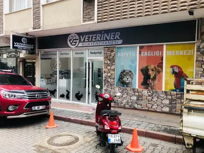VG Veteriner Kliniği Karacabey