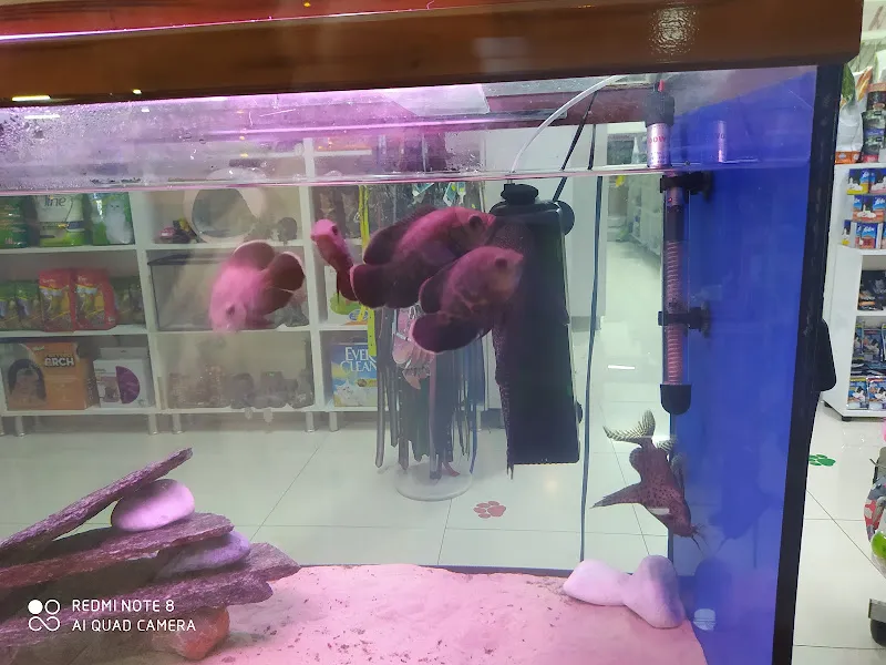 Yayla PetShop & PetKuaför foto 2