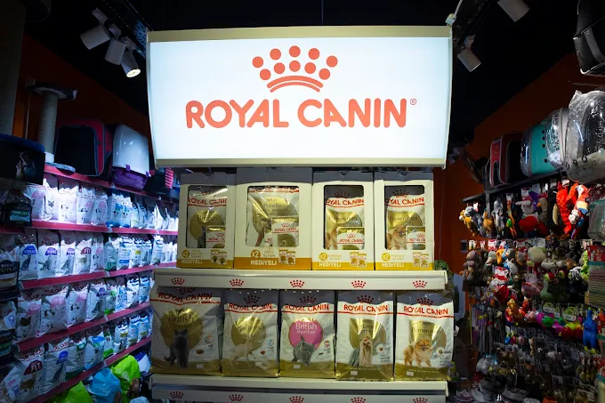 Çitos Pet Shop Rüya 48 AVM foto 2