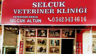 Veteriner Hekim Ali Uğurlu