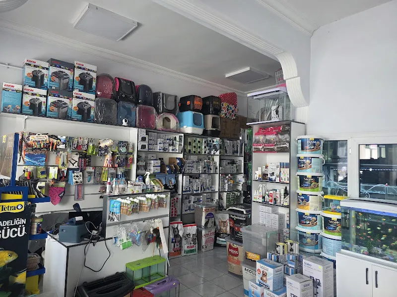 Pasifik PetShop & Akvaryum foto 2