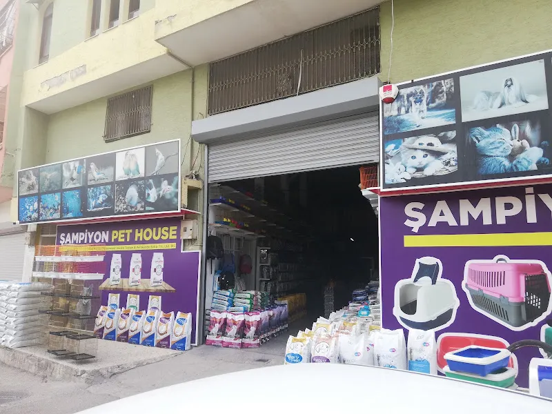 ŞAMPİYON PET HOUSE foto 1