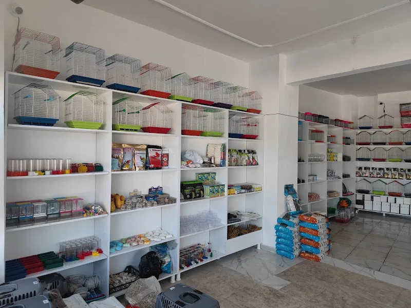 Arsuz AmaZoo Petshop foto 2