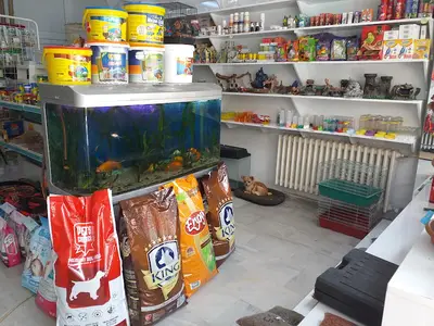PET-SİM