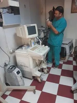 Berberoğlu Veteriner