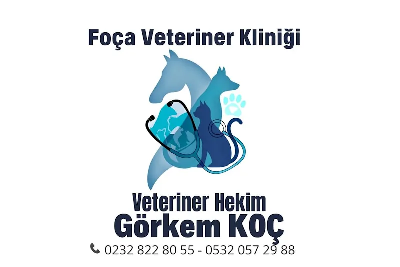 Foça Veteriner Kliniği foto 2