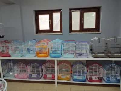 KAFKASYALI PET AVM