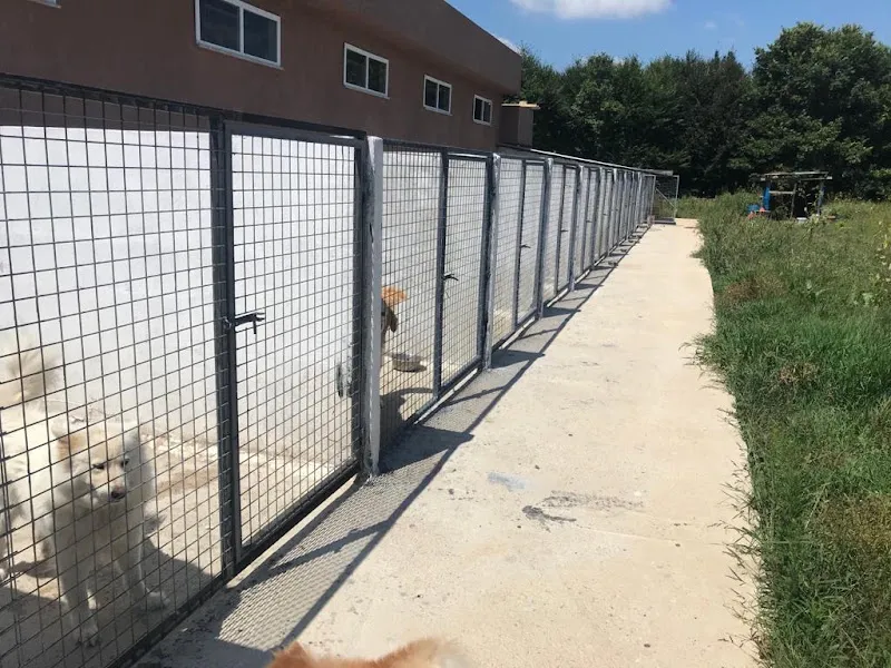 Doğa Köpek Üretim Çiftliği foto 2