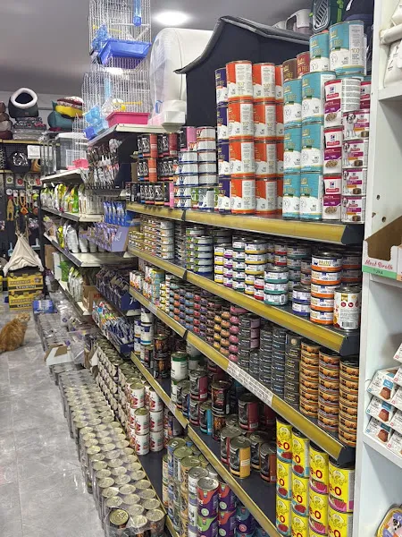 LORE PETSHOP foto 2