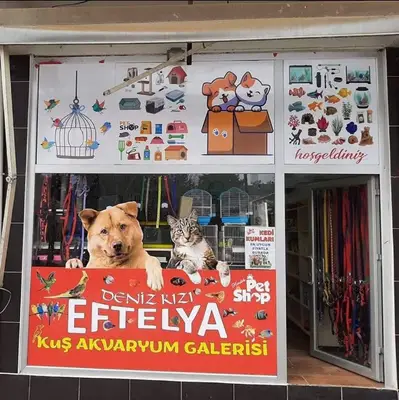 Deniz Kızı Eftelya Petshop