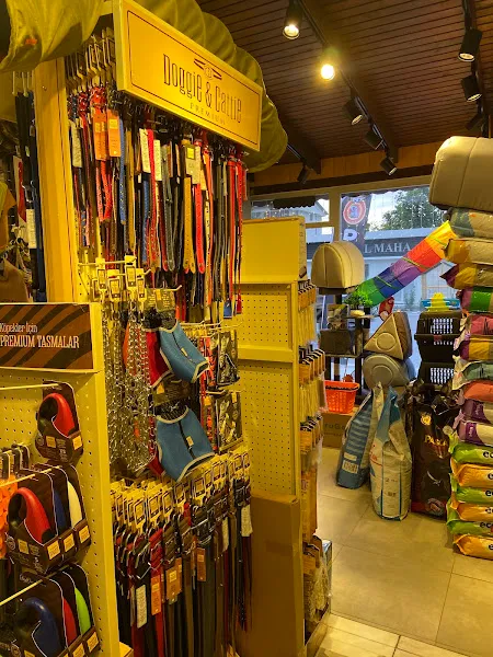 Çapa Pet Shop foto 2