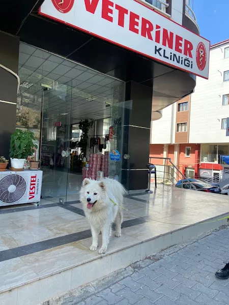 BURCU VETERİNER KLİNİĞİ foto 2