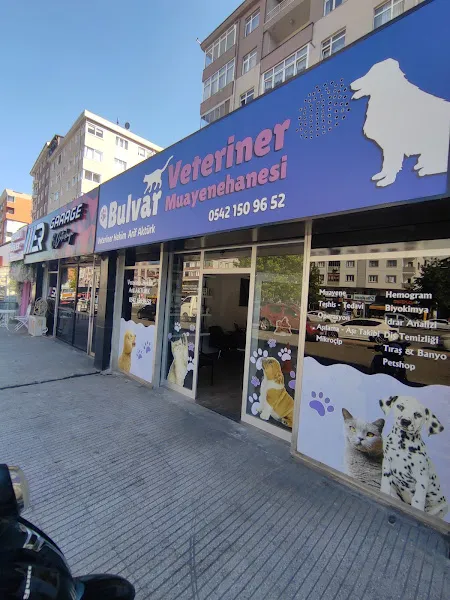 BULVAR VETERİNER KLİNİĞİ (Zonguldak/KDZ.EREĞLİ) foto 1