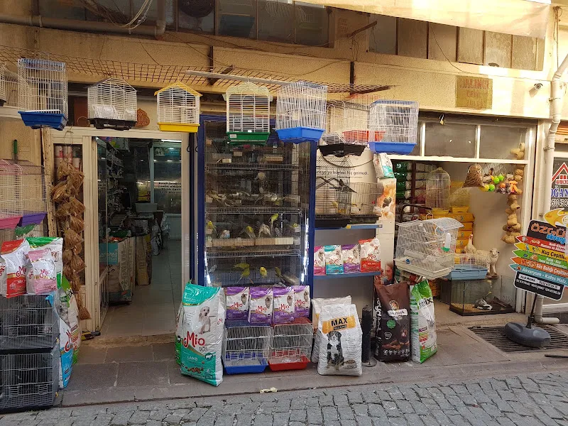 Özgür Akvaryum foto 1
