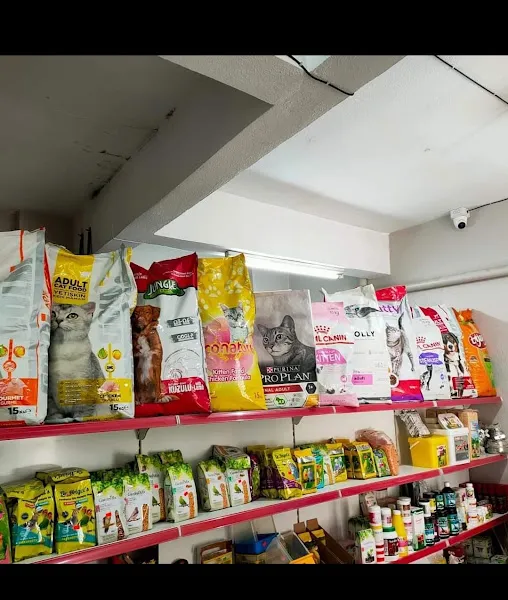 KINIK AKVARYUM - PETSHOP - AKVARYUM foto 2