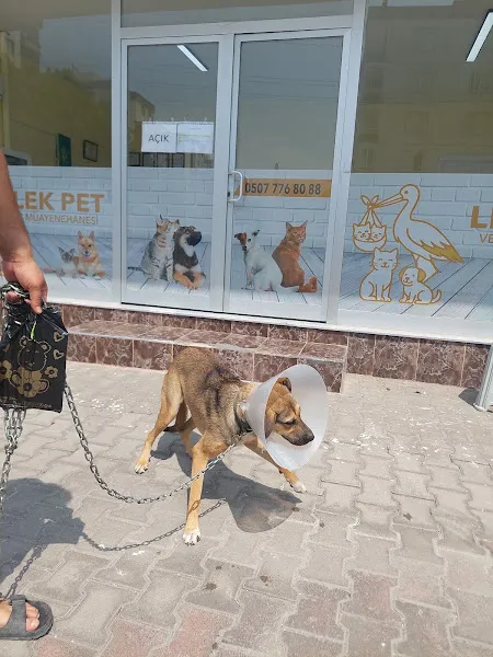 Leylek Pet Veteriner Muayenehanesi foto 2