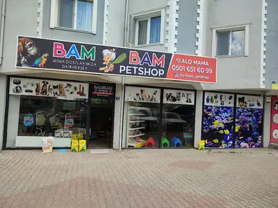 BAM BAM PETSHOP