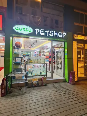 Gürsu Petshop