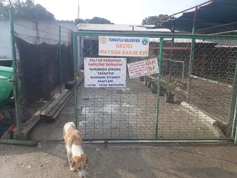 Köpek Bakımevi foto 2